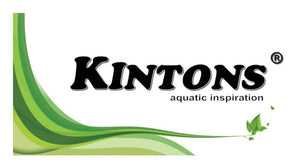 Kintons