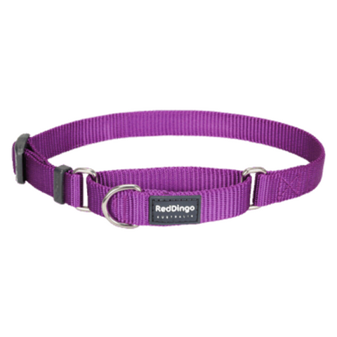 Red Dingo Martingale Half Check Collar - Classic Range (Purple)