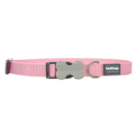 Red Dingo Bucklebone Collar - Classic Range (Pink)