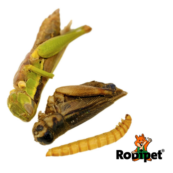 [DISCONTINUED] Rodipet Insect Mix Protein Snack - 50g