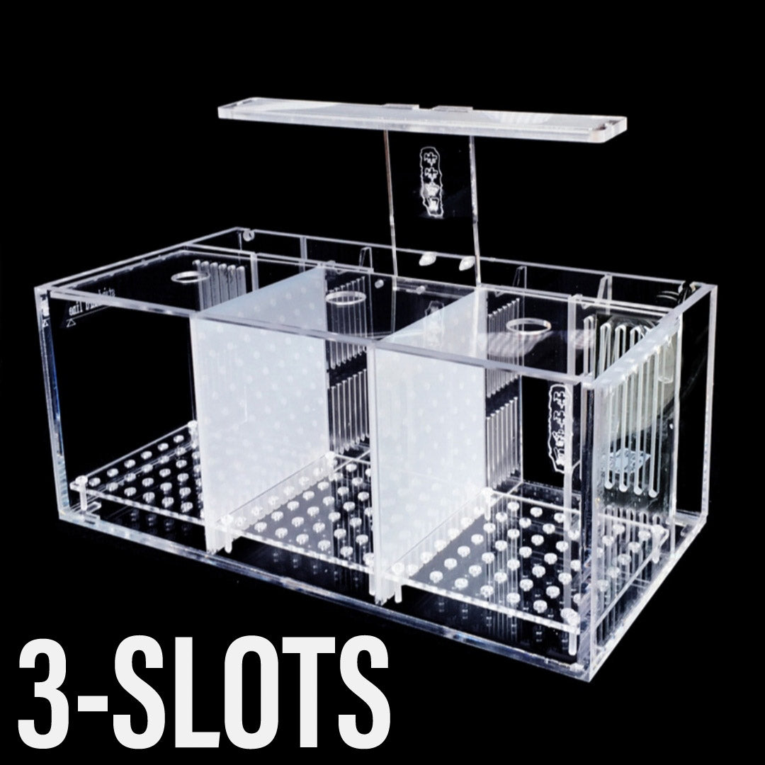 Acrylic Betta Tank Set with Pump and IOS (3 Slots)