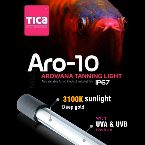 [NEW] Tica Aro-10 Tanning Light (3100K)