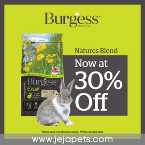 [PROMO: 30% OFF (USP $21.80)] Burgess Natures Blend - 1.5kg