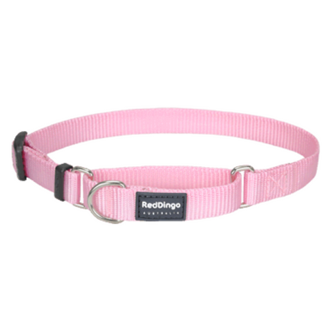 Red Dingo Martingale Half Check Collar - Classic Range (Pink)