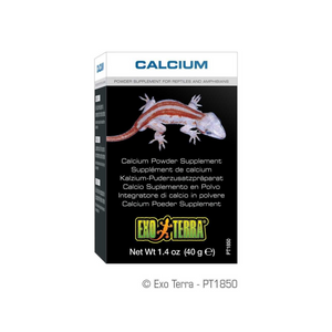 Exo Terra Calcium Powder Supplement