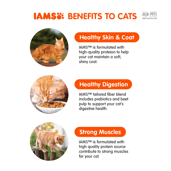 IAMS Proactive Health Healthy Ocean Fish Adult Cat Dry Food - 1kg / 3kg / 8kg