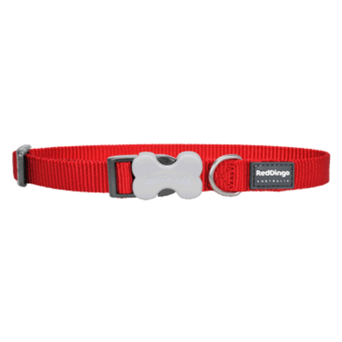 Red Dingo Bucklebone Collar - Classic Range (Red)