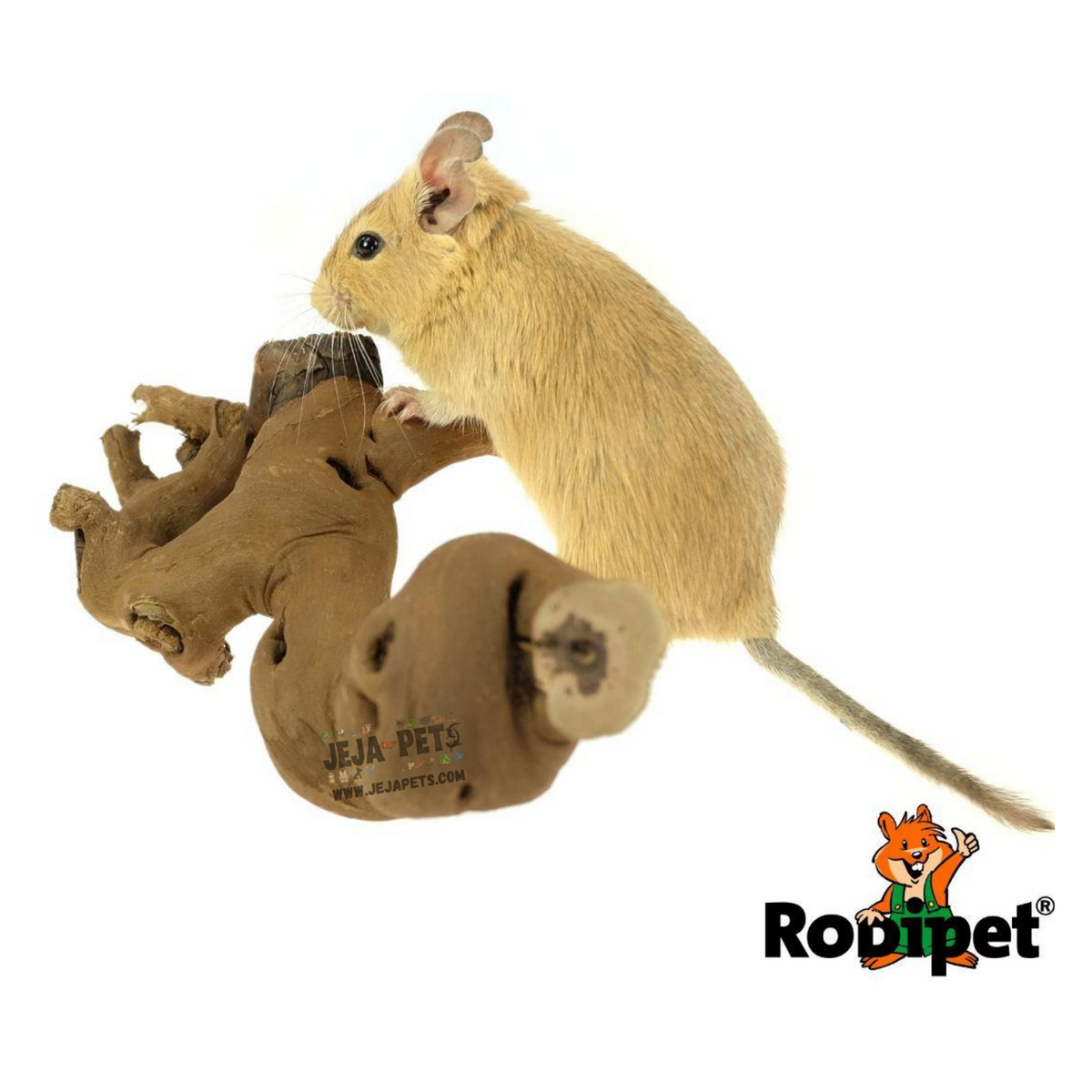 Rodipet Vine Wood - S / L