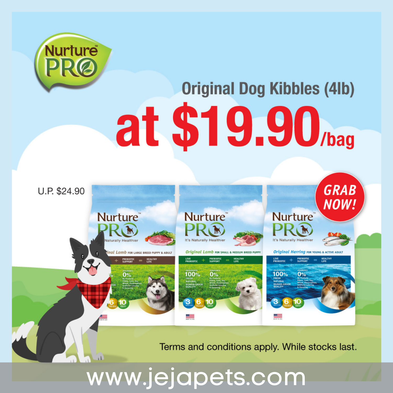 [PROMO: $19.90/bag (USP $24.90)] Nuture Pro Original Dog Kibbles - 4lb