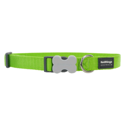 Red Dingo Bucklebone Collar - Classic Range (Lime Green)