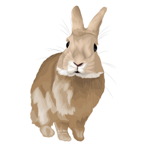 Rabbits (Mammals) Pet Portrait (Cartoon Illustration)