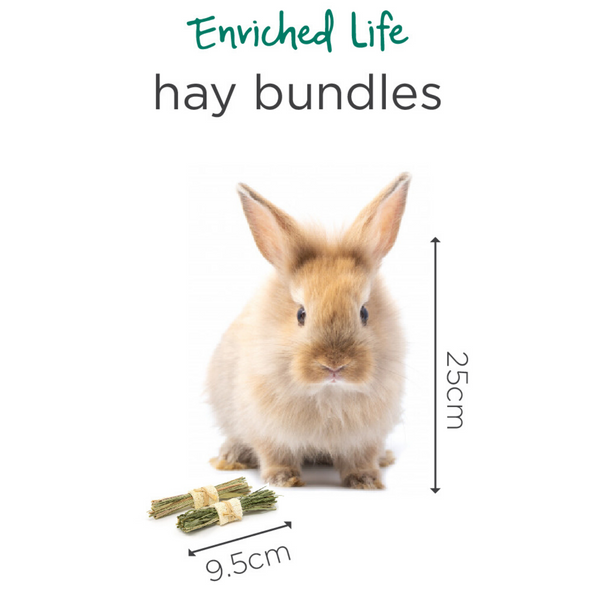 Oxbow Enriched Life Hay Bundles