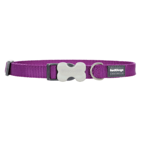 Red Dingo Bucklebone Collar - Classic Range (Purple)