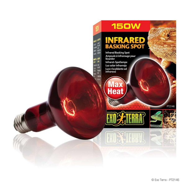 Exo Terra Infrared Basking Spot Lamp