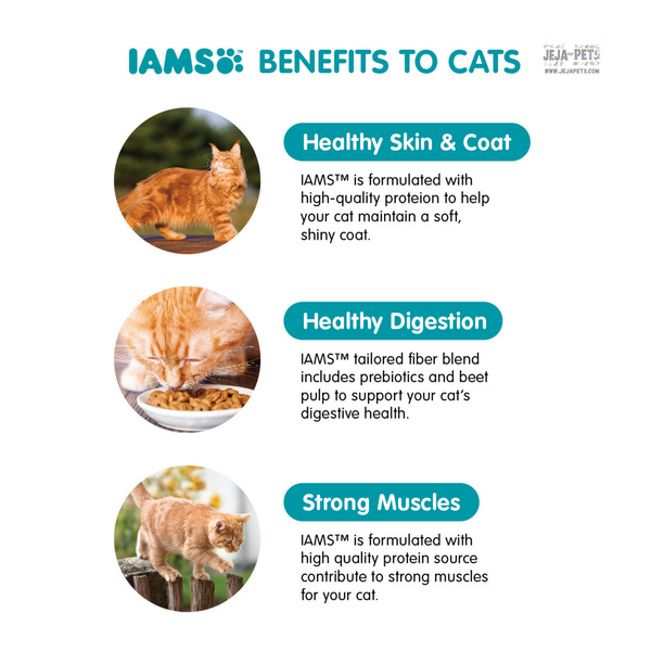 IAMS Proactive Health Indoor Weight & Hairball Care Adult Cat Dry Food - 1kg / 3kg / 8kg