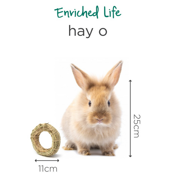 Oxbow Enriched Life Hay-O