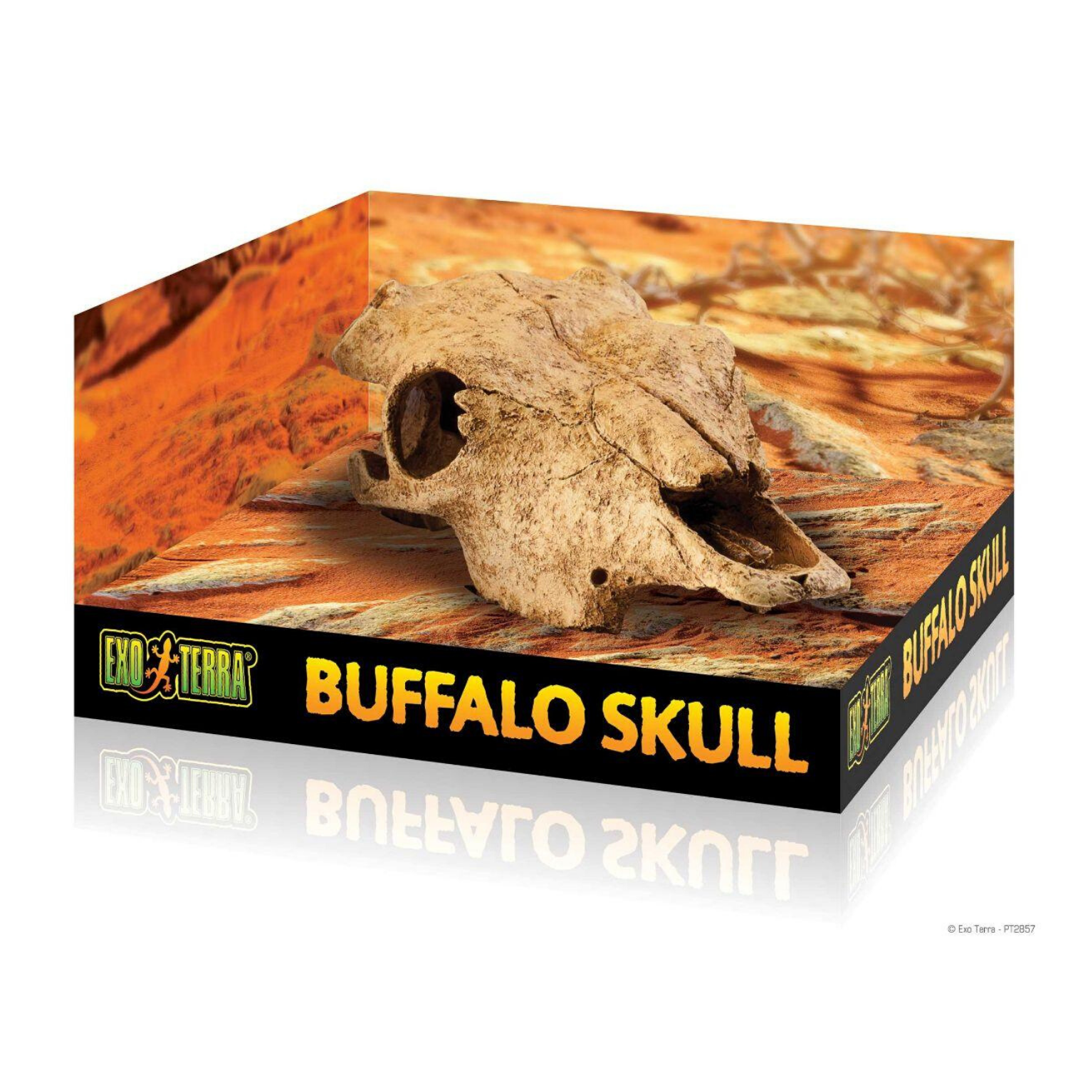 Exo Terra Buffalo Skull