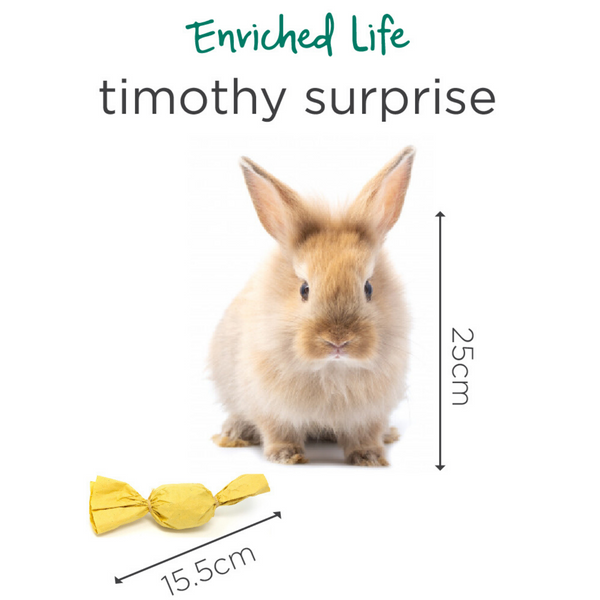 Oxbow Enriched Life Timothy Surprise