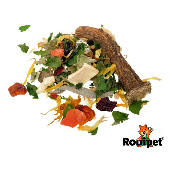 Rodipet Organic Teddy Hamster Food “SENiOR” - 500g