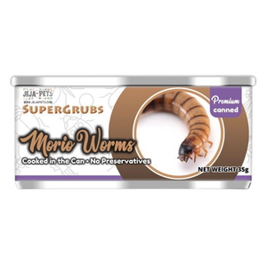 [DISCONTINUED] Supergrubs Canned Morio Worms (Super Worms) - 35g