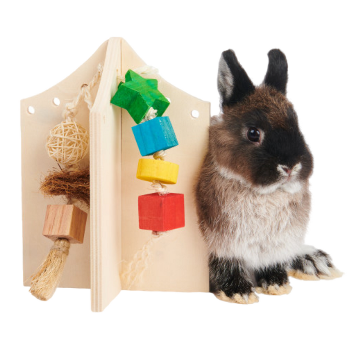 Oxbow Enriched Life Play Center - Small