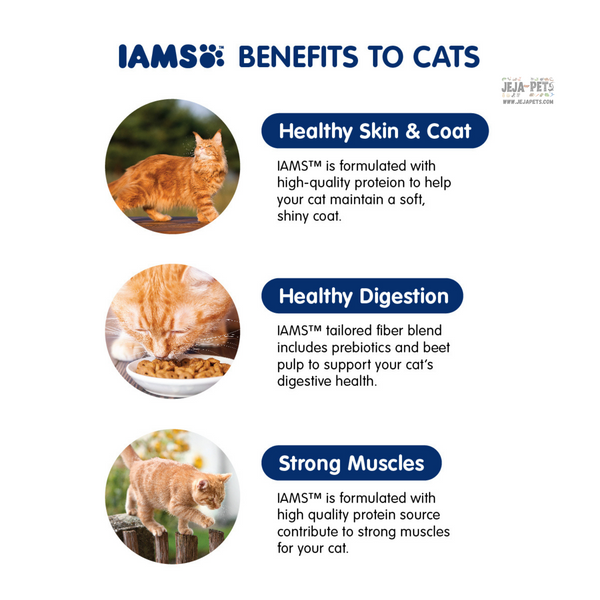 IAMS Proactive Health Multi-Cat Complete with Chicken & Salmon Cat Dry Food - 3kg / 8kg / 15kg