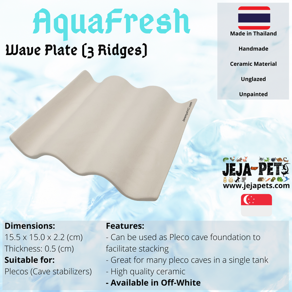 Aquafresh Wave Plate (3 Ridges)