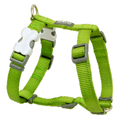 Red Dingo Dog Harness - Classic Range (Lime Green)