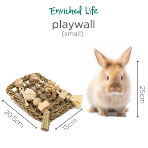 Oxbow Enriched Life Play Wall - Small / Large