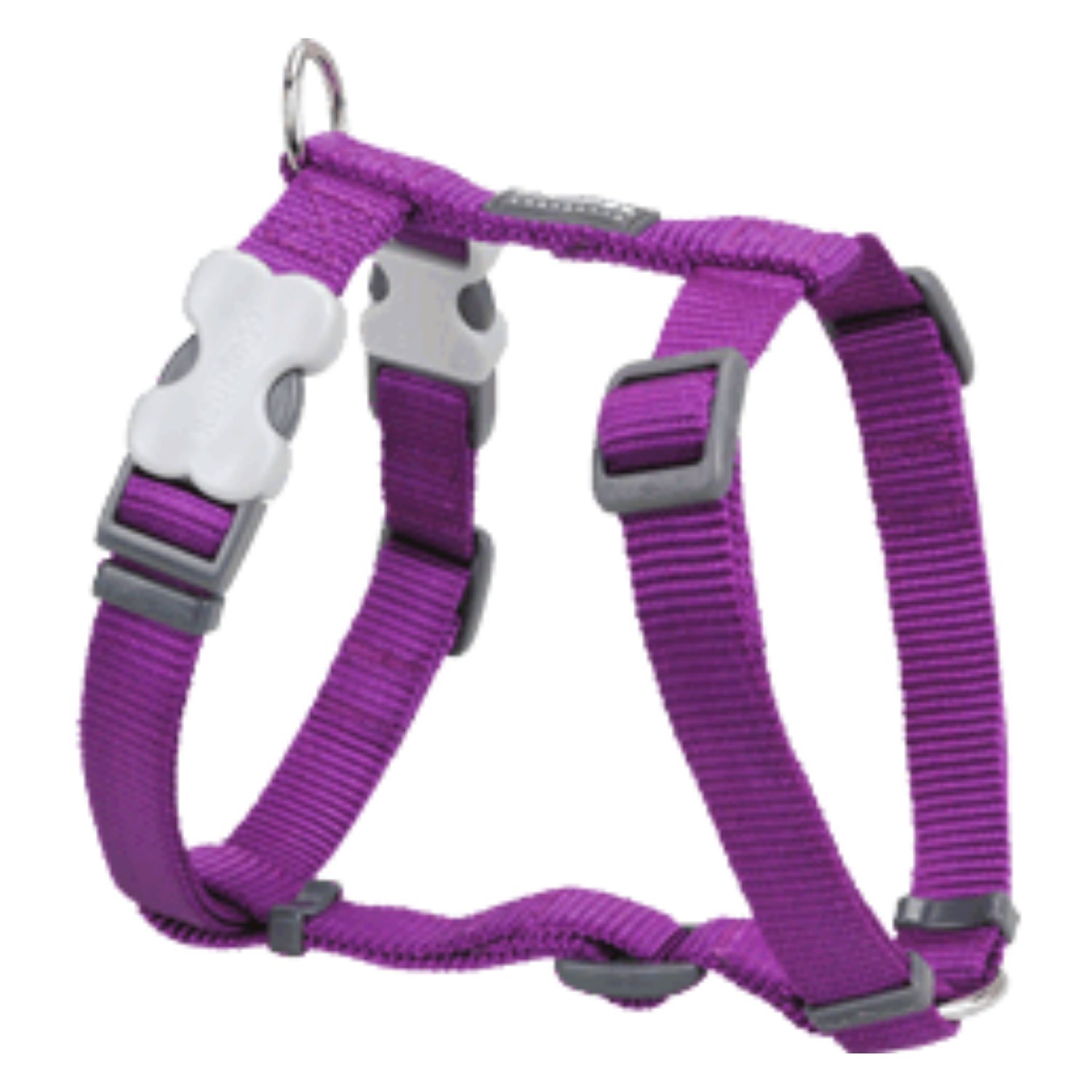 Red Dingo Dog Harness - Classic Range (Purple)