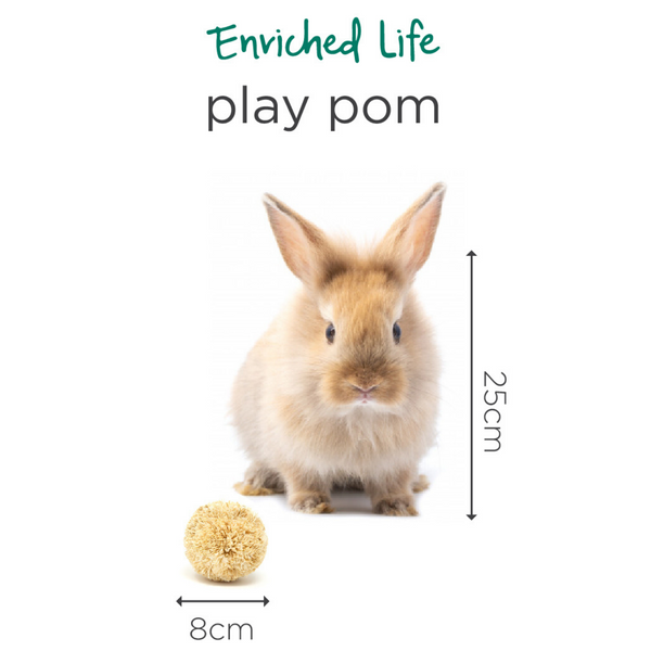 Oxbow Enriched Life Play Pom