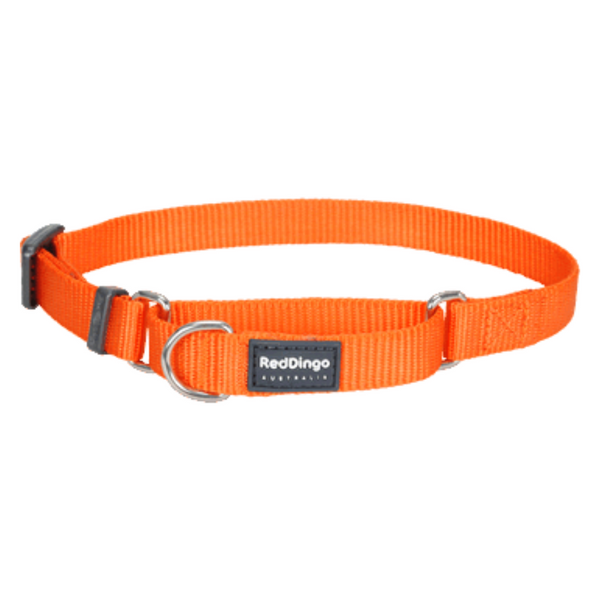 Red Dingo Martingale Half Check Collar - Classic Range (Orange)