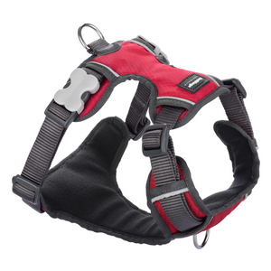 Red Dingo Dog Padded Harness (Red)