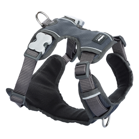 Red Dingo Dog Padded Harness (Charcoal)