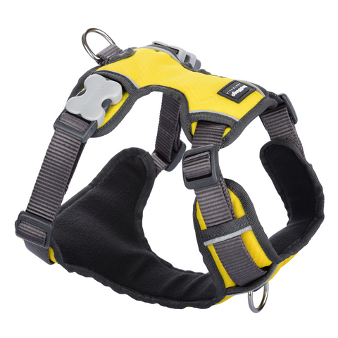 Red Dingo Dog Padded Harness (Yellow)