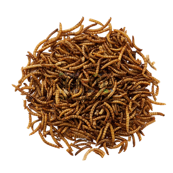 [DISCONTINUED] Marukan Freeze Dried Mealworm for Small Animals - 40g