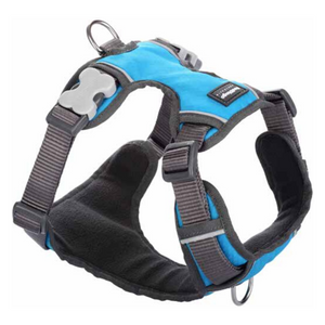 Red Dingo Dog Padded Harness (Turquoise)