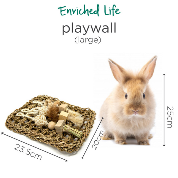 Oxbow Enriched Life Play Wall - Small / Large