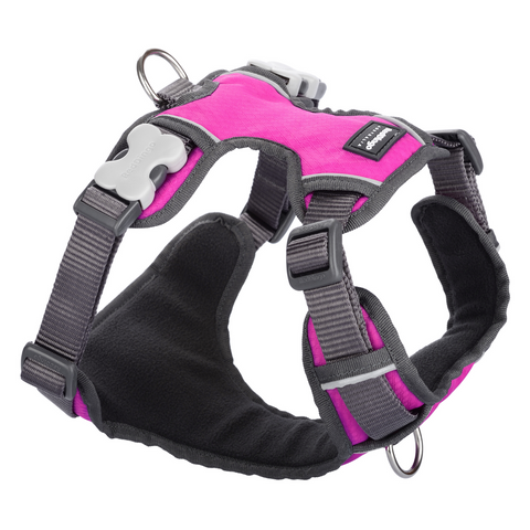 Red Dingo Dog Padded Harness (Hot Pink)