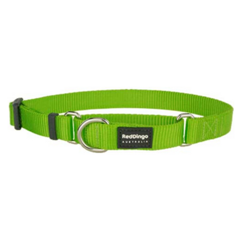 Red Dingo Martingale Half Check Collar - Classic Range (Lime Green)