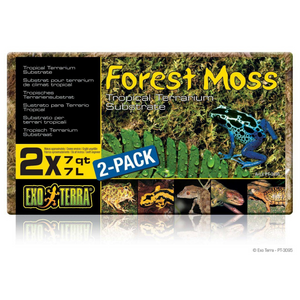 Exo Terra Forest Moss