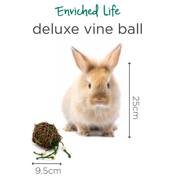 [DISCONTINUED] Oxbow Enriched Life Deluxe Vine Ball