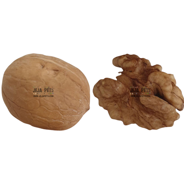 [SAMPLE] Jeja Pets Raw Shelled Walnuts - 3 pieces
