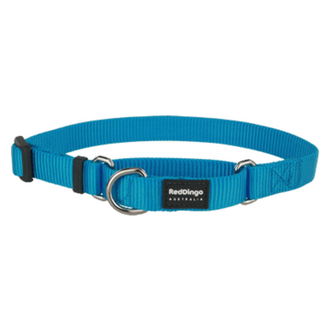 Red Dingo Martingale Half Check Collar - Classic Range (Turquoise)