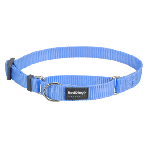 Red Dingo Martingale Half Check Collar - Classic Range (Medium Blue)