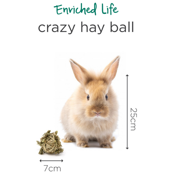 Oxbow Enriched Life Crazy Hay Ball