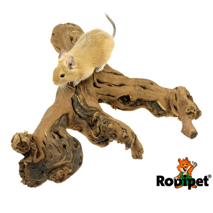 Rodipet Vine Wood - S / L