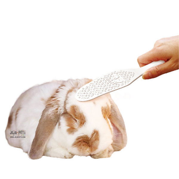 Animan Grooming Paddle Brush for Rabbit