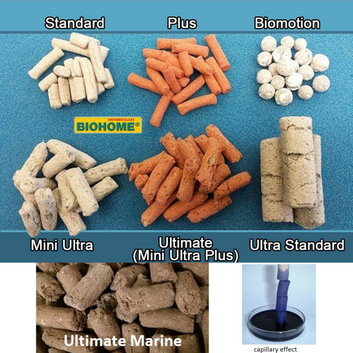 Biohome Plus - 300g / 1kg / 5kg