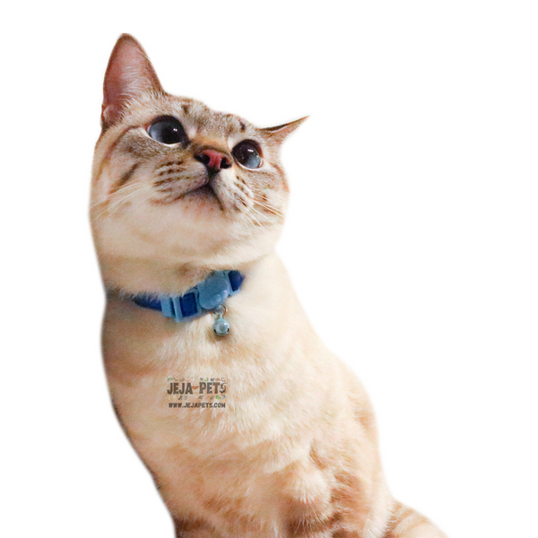 CattyMan Stylish Cat Collar - Dark Blue